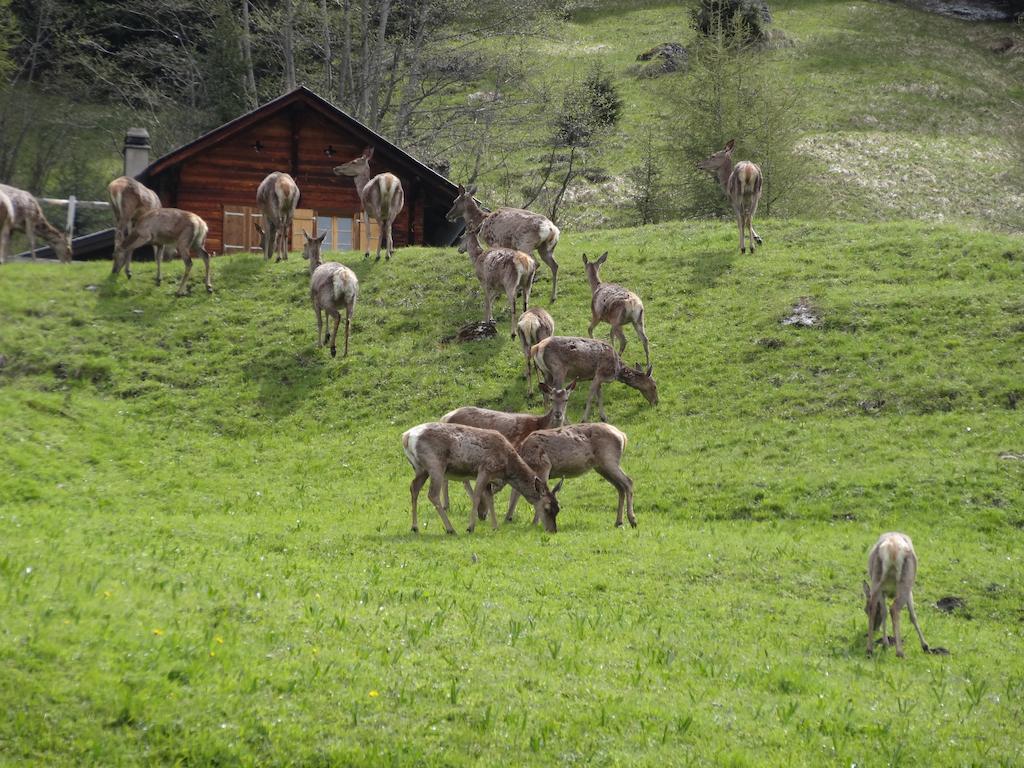 Chalet Edelweiss Heremence Phòng bức ảnh